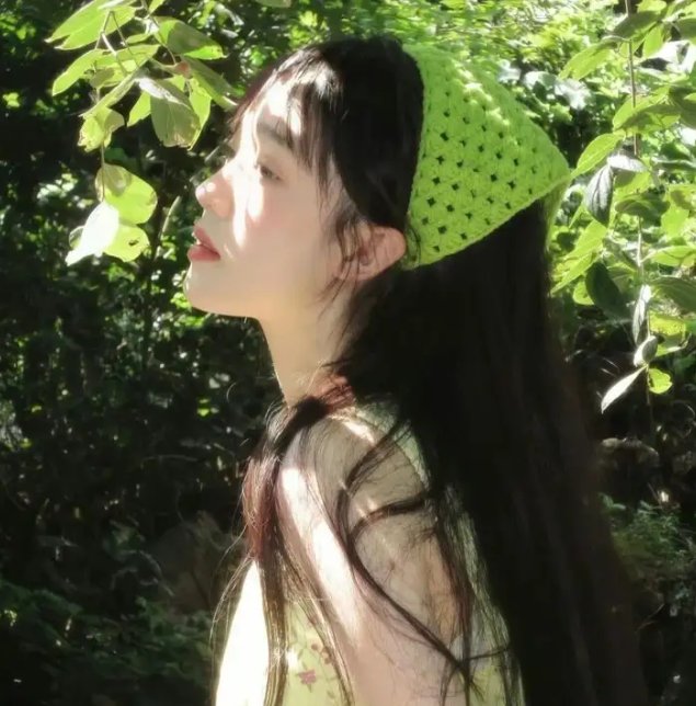小迪克西